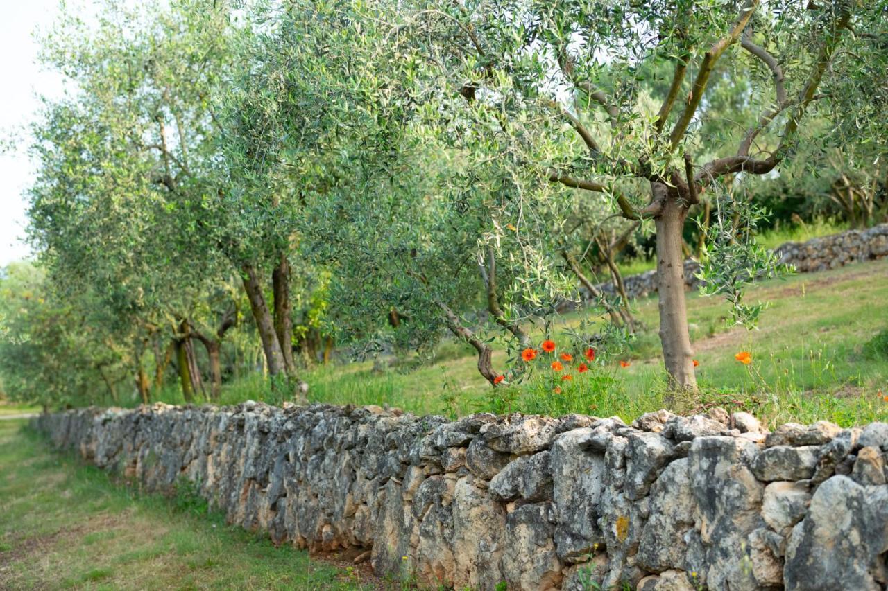 Agriturismo Sommavalle Verona Buitenkant foto